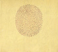 Banhart,devendra - Nino Rojo - Music CD