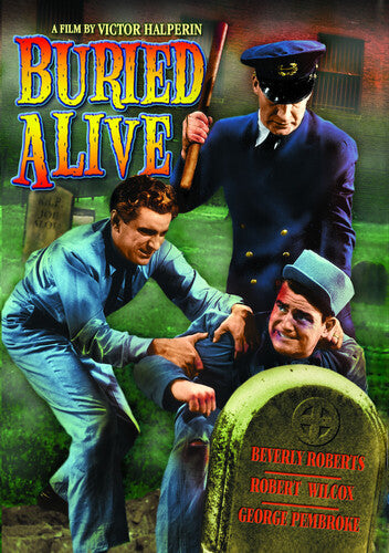 Twin Husbands - Twin Husbands - DVD