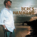 Hammond,beres - Love Has No Boundaries - Vinyl Record