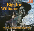 Williams,big Joe - Baby Please Dont Go - Music CD