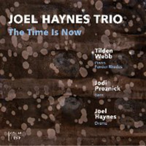 Haynes,joel - Time Is Now - Music CD