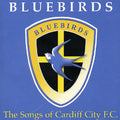 Welsh Football Tribute: Land Of My Father / Var - Welsh Football Tribute: Land Of My Father / Var - Music CD