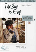 Sky Is Gray: American Short Story Collection - Sky Is Gray: American Short Story Collection - DVD
