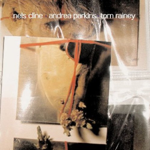 Cline,nels / Parkins,andrea / Rainey,tom - Out Trios 3 - Music CD