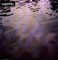 Tarentel - We Move Through Weather - Vinyl Record