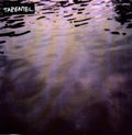 We Move Through Weather [LP] Vinyl Record