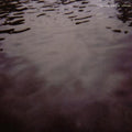 Tarentel - We Move Through Weather - Music CD