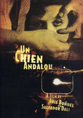 Bunuel,luis / Dali,salvador - Chien Andalou - DVD