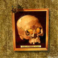 Fig Leaf - Humble Poet - Music CD