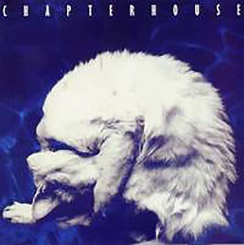 Chapterhouse - Whirlpool - Music CD