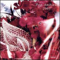 Pop Ambient 2005 / Various - Pop Ambient 2005 / Various - Vinyl Record