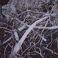 Tarentel - Big Black Square - Music CD