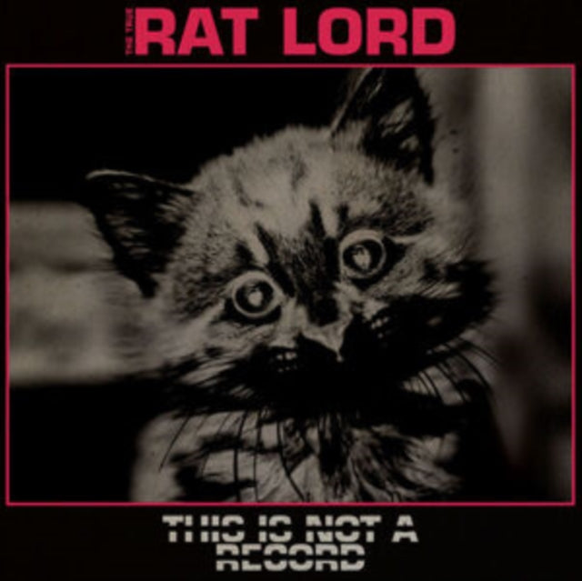 This Is Not A Record Vinyl Record