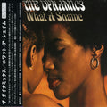 Dynamics - What A Shame - Music CD