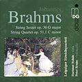 Brahms / Rohde / Bruns / Leipzig String Quartet - String Sextet / String Quintet - Music CD