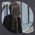 Ping - Zig Zag Manoeuvre - CD