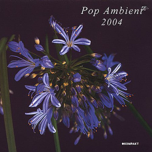Pop Ambient 2004 / Various - Pop Ambient 2004 / Various - Vinyl Record