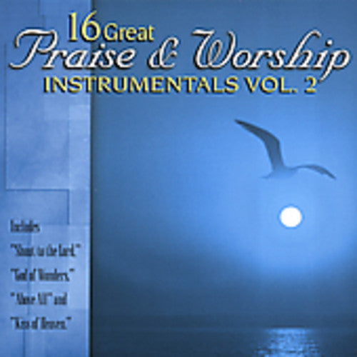 16 Great Praise & Worship Instrumentals 2 / Var - 16 Great Praise & Worship Instrumentals 2 / Var - Music CD