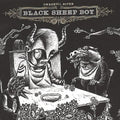 Okkervil River - Black Sheep Boy - Vinyl Record