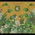 Rice,johnathan - Trouble Is Real - Music CD
