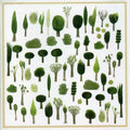 Fujimoto,yuichiro - Kinoe - Music CD