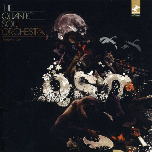 Quantic Soul Orchestra - Pushin On - Music CD