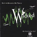 Wicked: Karaoke You Can Sing Too / Various - Wicked: Karaoke You Can Sing Too / Various - Music CD