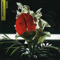 Printer - Rhizomatic Baby - Music CD