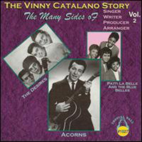 Catalano,vinny - Vinny Catalano Story 2 - Music CD