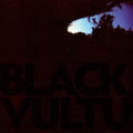 Daniel Norgren - Black Vultures (10) - LP Vinyl