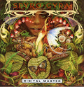 Spyro Gyra - Morning Dance - Music CD