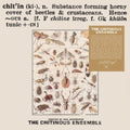Chitinous Ensemble - Chitinous - LP Vinyl