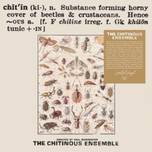 Chitinous Ensemble - Chitinous - LP Vinyl
