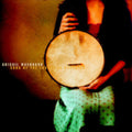 Washburn,abigail - Song Of The Traveling Daughter - Music CD