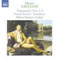 Giuliani / Tamayo - Guitar Music 2 - Music CD