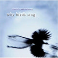 Rothenberg,david - Why Birds - Music CD