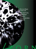 Celestial Subway Lines / Salvaging Noise - Celestial Subway Lines / Salvaging Noise - DVD