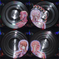 Tool - Lateralus - Vinyl Record