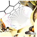 Caural - Remembering Today - Music CD