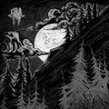 By The Way Of Light (2LP)