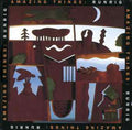 Runrig - Amazing Things - Music CD