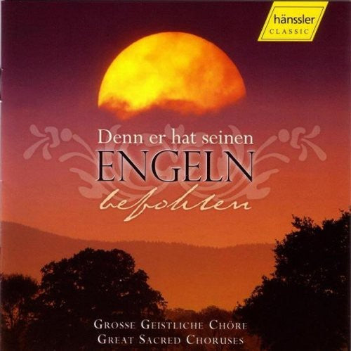 Denn Er Hat Seinen Engeln Befohlen / Various - Denn Er Hat Seinen Engeln Befohlen / Various - Music CD