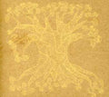 Badgerlore - Stories For Owls - Music CD