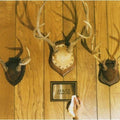 Adult - Gimmie Trouble - Music CD