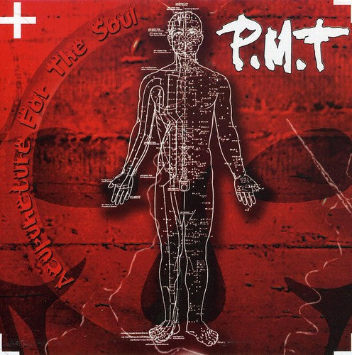 Pmt - Acupuncture For The Soul - Music CD