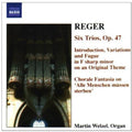 Reger / Wetzel - Organ Works 6 - Music CD