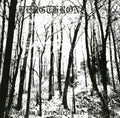 Bergthron - Verborgen In Den Tiefen Der Walder - Music CD