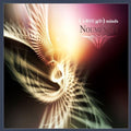 Absurd Minds - Noumenon - Music CD
