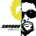 Shaggy - Clothes Drop - Music CD