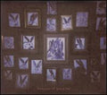 Memories Of Sasaki San / Various - Memories Of Sasaki San / Various - Music CD